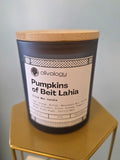 Pumpkins Of Beit Lahiya